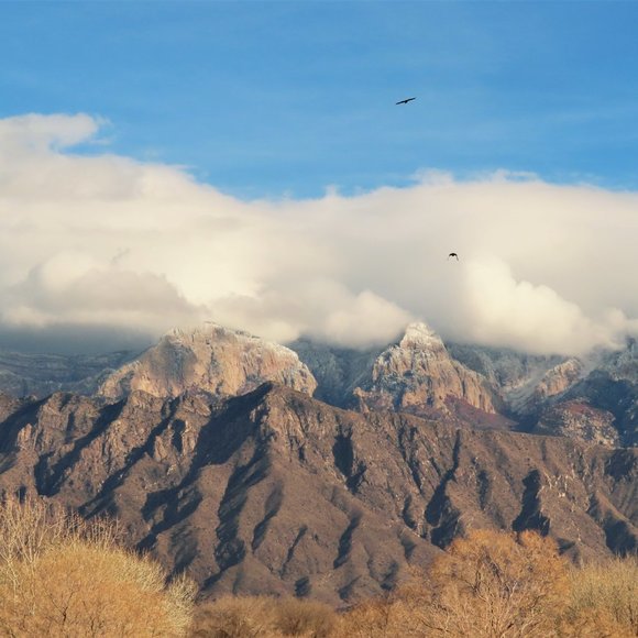 Meet your Posher, Lori - Picture 8 of 9